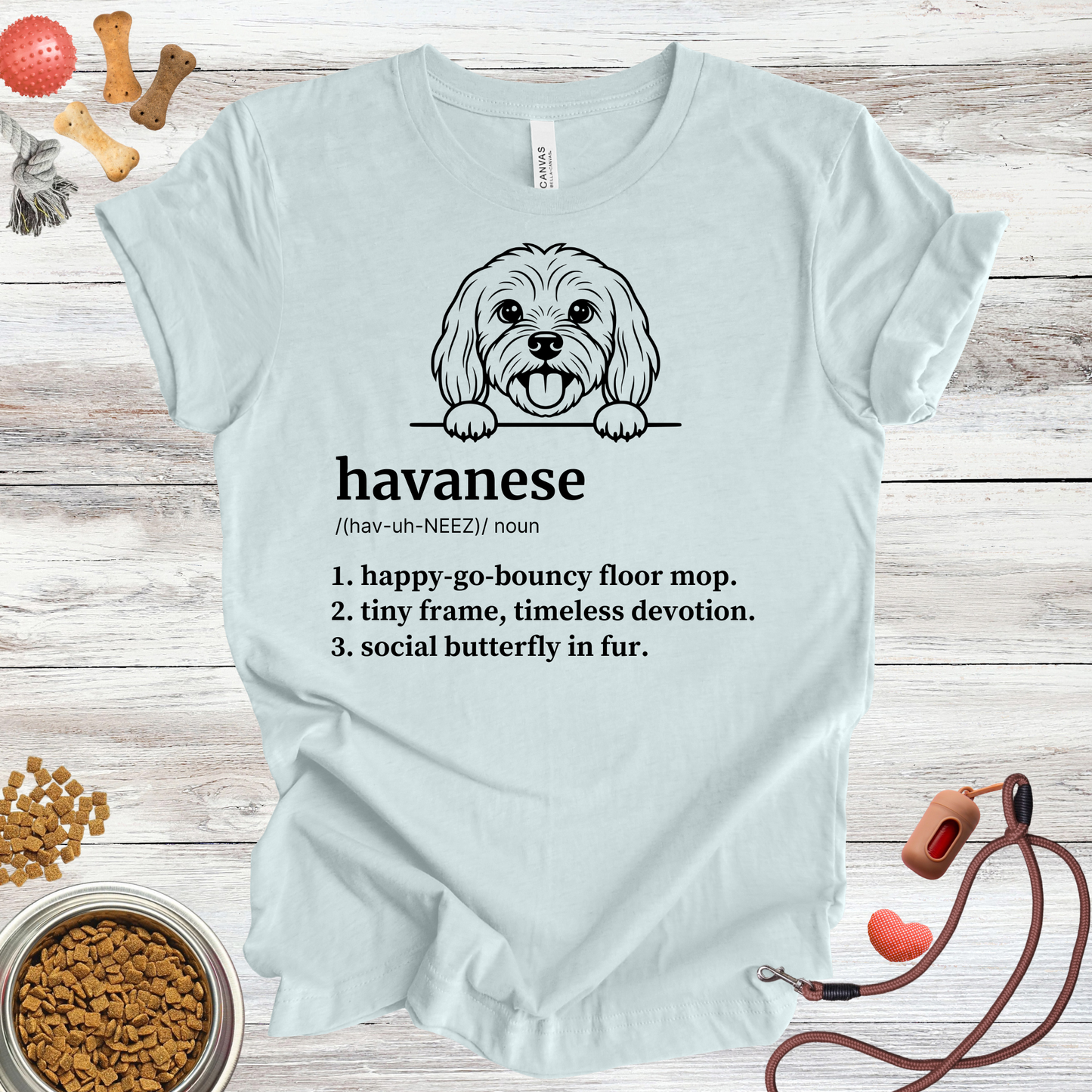 Havanese definition dog t-shirt in Heather Mauve — Paw Shaped Love