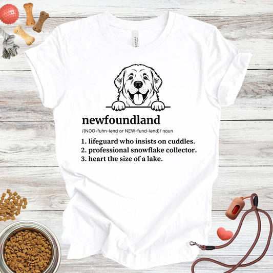 Newfoundland Definition