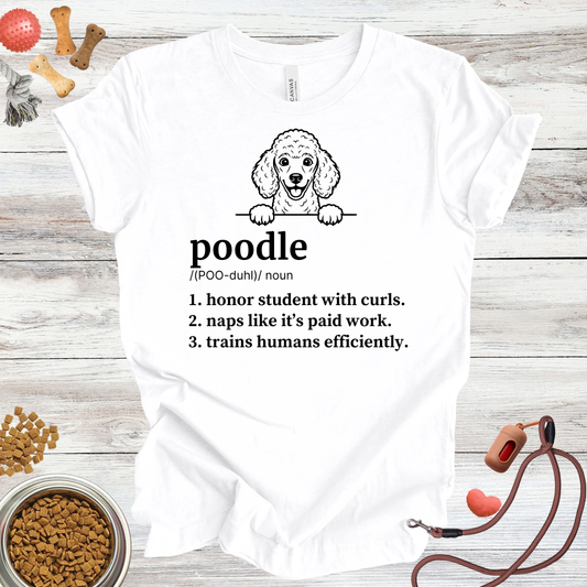 Poodle Definition